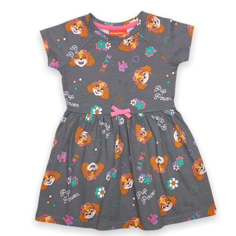 Paw Patrol Dress - Grey -5T