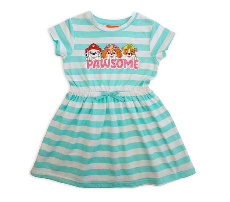 Paw Patrol Short Sleeve Dress - Blue Stripe 4