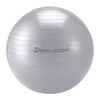Iron Body Fitness IBF - Ballon de conditionnement classique inéclatable de 55 cm