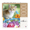 Big Ben - 1000-Piece Adult Jigsaw Puzzle - Kitten on a Blue Chair