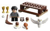 LEGO Harry Potter - Harry Potter et Hedwige : la livraison 30420