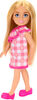 Barbie Chelsea Doll, Small Doll Wearing Removable Checked Dress with Blonde Hair & Blue Eyes