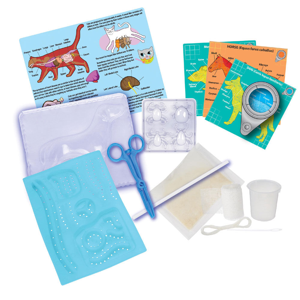 Scientific explorer veterinary science kit deals