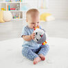 Fisher-Price Have a Ball Hippo