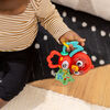 Baby Einstein Roxy's Bright Flight Musical Toy