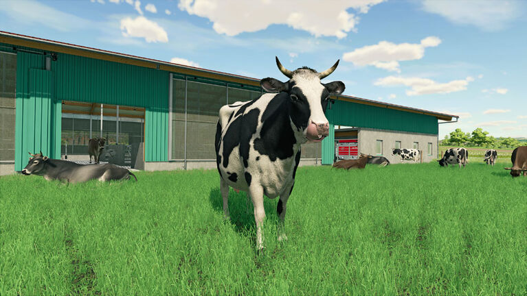 Playstation 4-Farming Simulator 22