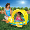 Banzai Shady Time Duck Pool