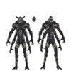 Marvel Legends Series Marvel's Outriders, Avengers: Infinity War Collectible 6 Inch Action Figure 2-Pack