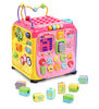 Ultimate Alphabet Activity Cube Pink - English Edition