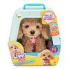 Little Live Pets My Really Real Puppy - Curley The Cavoodle