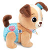 VTech Baby Explore & Move With Puppy - English Edition