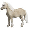 ALEX - Welsh Pony - Large