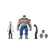 Hasbro Marvel Legends Series Gray Hulk et Dr Bruce Banner, Avengers 60e anniversaire, figurines de collection de 15 cm