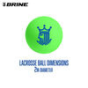 Ensemble Combiné Mini Lacrosse Nets Brine