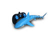 Shark Shark RC (Requin)