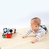 Baby Einstein Infinity Block High Contrast Toy