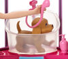 Barbie Pet Care Playset