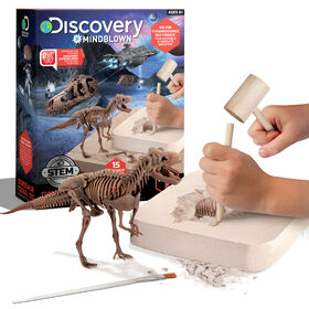 Trousse d'excavation de squelette de dinosaure 3D - T-Rex