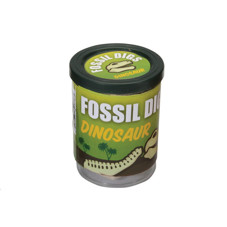 Fossil Dig in Tub Dinosaur Skeleton - English Edition