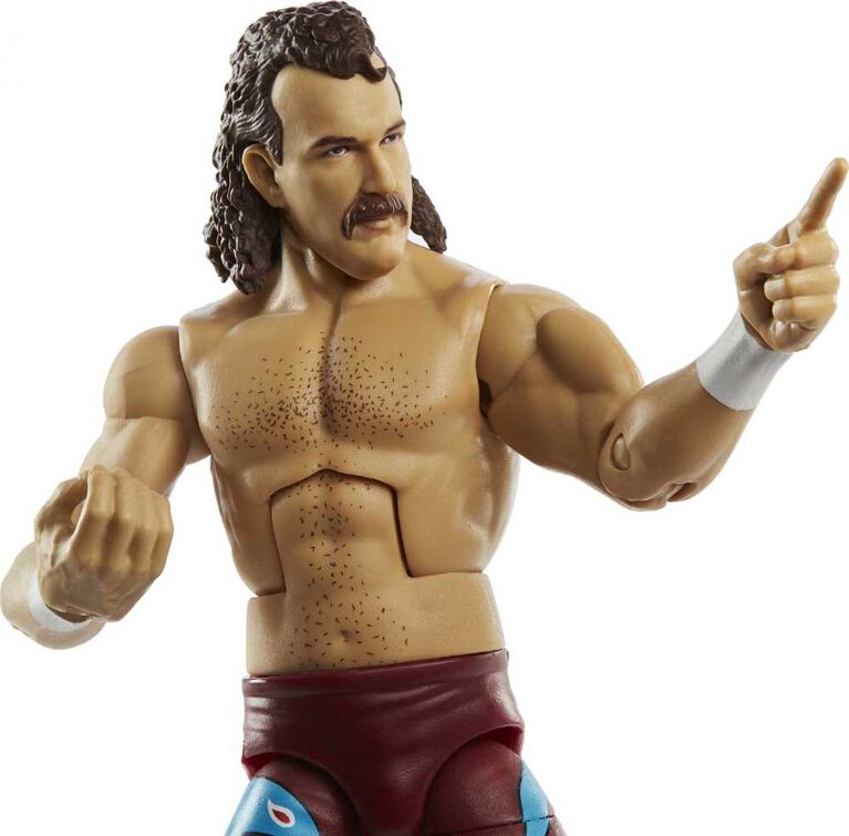 WWE Legends Jake "the Snake" Roberts Elite Collection Action Figure
