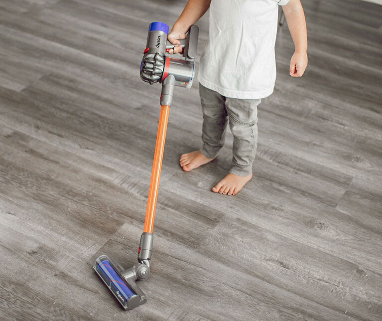 Dyson Cord Free Vacuum