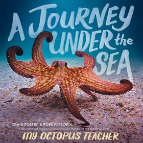 A Journey Under the Sea - Édition anglaise
