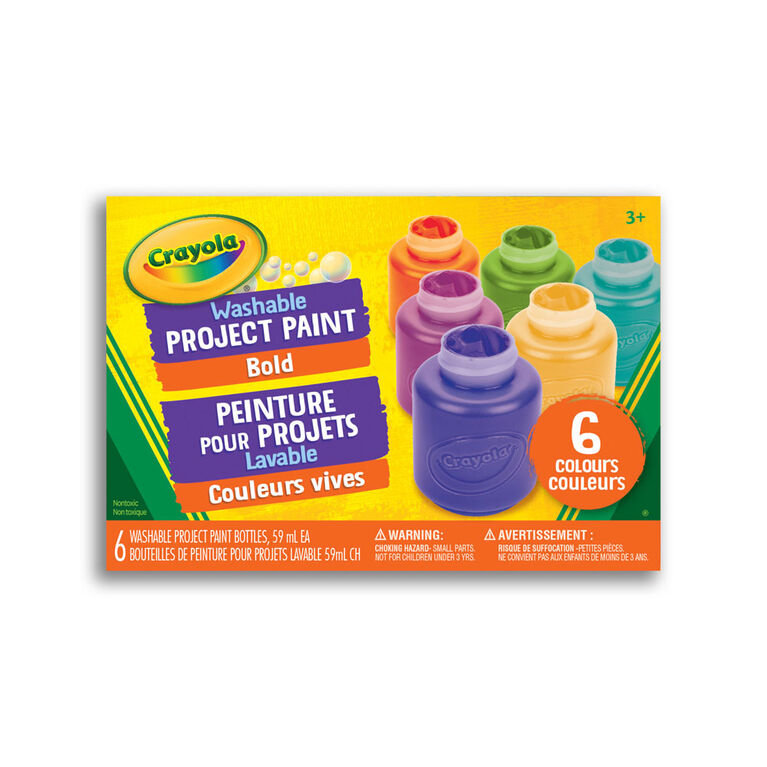 10 pots de peinture lavable Crayola 10 bouteilles de peinture