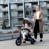 Rito Plus Folding Stroller /Trike Grey