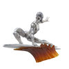 Marvel Legends Series Silver Surfer Action Figure