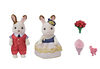 Calico Critters Cute Couple Set