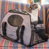 Gen7Pets Carry-Me Pet Carrier - Grey Shadow