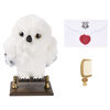 Wizarding World Harry Potter, Enchanting Hedwig Interactive Owl with Over 15 Sounds and Movements and Hogwarts Envelope