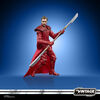Star Wars The Vintage Collection Emperor's Royal Guard Toy