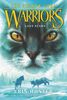 Warriors: The Broken Code #1: Lost Stars - English Edition