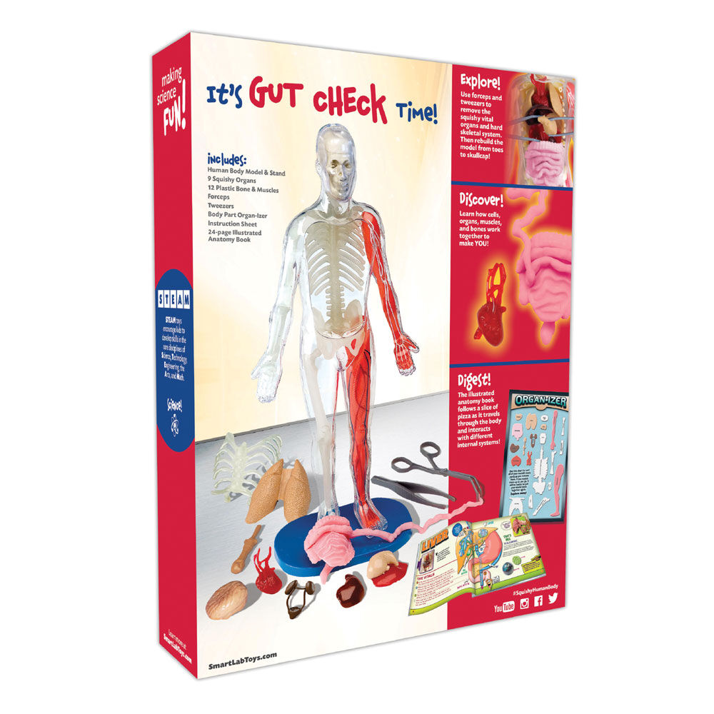 Squishy human body toys r us 2025