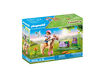 Playmobil - Collectible Icelandic Pony