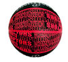 NBA Raptors Championship Ball Size 7