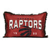 Oreiller géant en fourrure funky pour enfants NBA Toronto Raptors, 20 po x 30 po