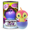 Hatchimals Hatchtopia Life, 2-inch tall Plush Hatchimals with Interactive Game (Styles May Vary).
