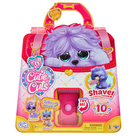 Scruff A Luv'' Cutie Cuts - Purple