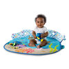 Disney Baby Mr Ray Ocean Lights Activity Gym