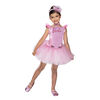 Costume de Ballerina Barbie taille petit (4-6) - Notre exclusivité