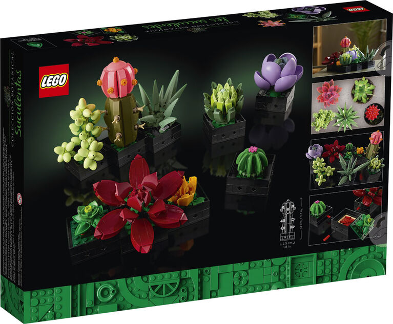LEGO Botanicals Les succulentes; plantes d'intérieur, cactus, aloe vera, echeveria 10309