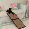 Rampe miniature pour l'intérieur recouverte de tapis, 106,7 cm (42 po) de Gen7Pets