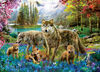 Wolf Lake Eurographics Oversize fantaisie Puzzle PC 500