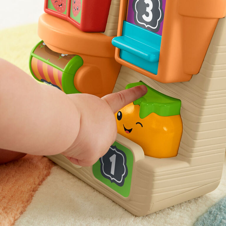 Fisher-Price - Rires et Éveil - Jardin Jeu et découverte