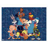 Space Jam 2 - 63 Piece Puzzle