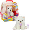 Little Live Pets - My Really Real Puppy Luna the Samoyed