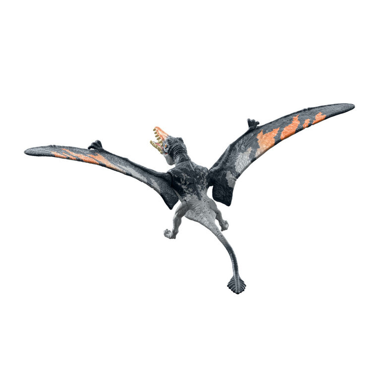 Jurassic World Wild Pack Rhamphorhynchus