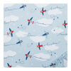 Airplane 2 Pack Microfiber Sheets